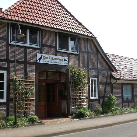 Ferienhaus/Ferienwohnung Reinecke 霍登哈根 外观 照片